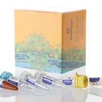 Plexor® qPCR and RT-qPCR Systems