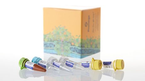 Plexor® qPCR and RT-qPCR Systems