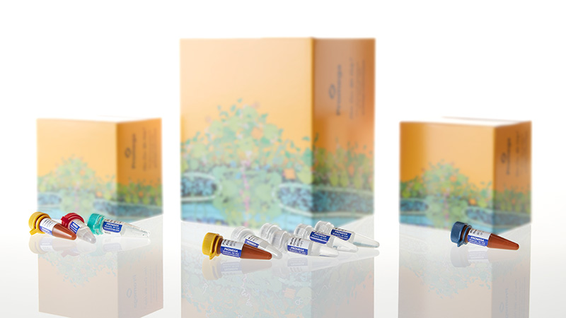 dc8902_powerplex--21-system--200rxn_3 PowerPlex® 21 System