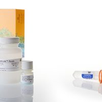 HaloLink™ Protein Array System