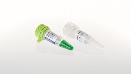 GoTaq® G2 Polymerase and Master Mixes