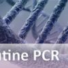 GoTaq® G2 Polymerase and Master Mixes