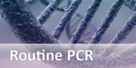 GoTaq® G2 Polymerase and Master Mixes