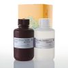 Western Blot Kit