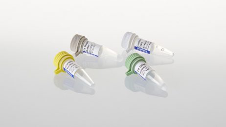 The pGEM®-T Easy Vector Systems