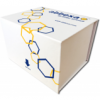 Human SARS-CoV-2 Neutralizing Antibody ELISA Kit