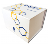 Human SARS-CoV-2 Neutralizing Antibody ELISA Kit