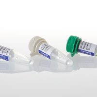 dna polymerase