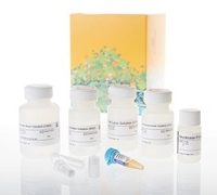 Wizard® Plus SV Minipreps DNA Purification System