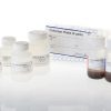 Wizard® MagneSil® Plasmid Purification System