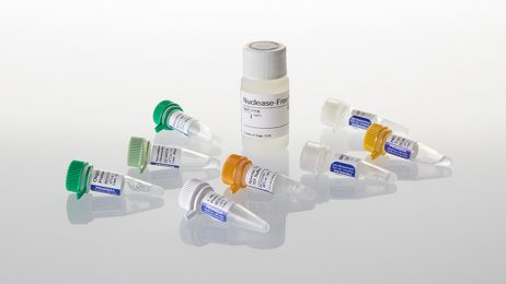 Reverse Transcription System
