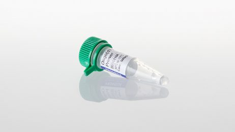 Oligo(dT)15 Primer