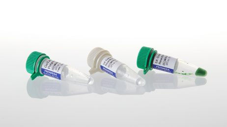 DNA Pol