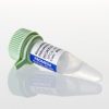 Recombinant Rnasin® Ribonuclease inhibitor