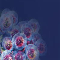ADME-Tox Assay