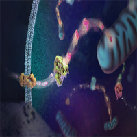 Metabolite Detection Assays