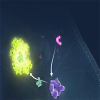 Oxidative Stress Assays