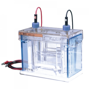 WSE-1165W Mini Slab SDS PAGE